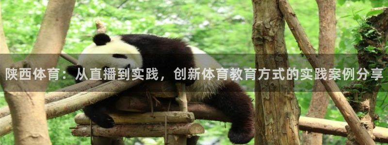 足球比赛绿茵直播：陕西体育：从直播到实践，创新体育教育方式的实践案例分享