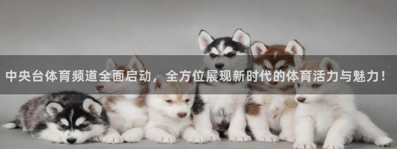 东京绿茵足球：中央台体育频道全面启动，全方位展现新时代的体育活力与魅力！