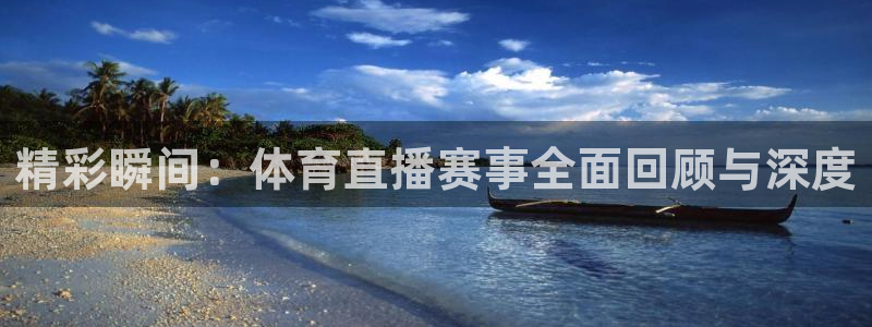 绿茵足球免费观看入口：精彩瞬间：体育直播赛事全面回顾与深度