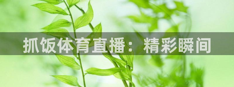 绿茵直播篮球：抓饭体育直播：精彩瞬间