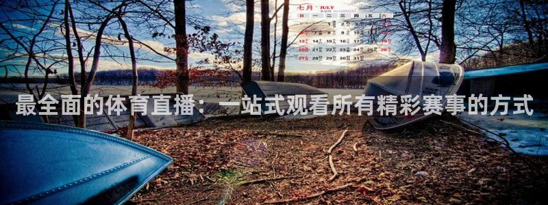 绿茵足球免费观看入口：最全面的体育直播：一站式观看所有精彩赛事的方式