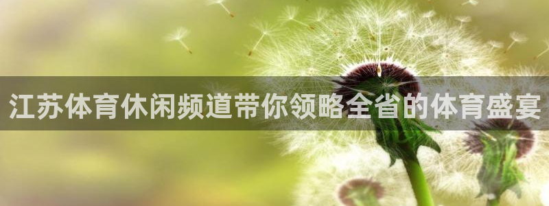 绿茵直播免费看球：江苏体育休闲频道带你领略全省的体育盛宴