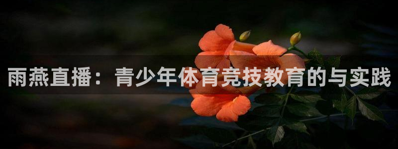绿茵足球免费观看入口：雨燕直播：青少年体育竞技教育的与实践