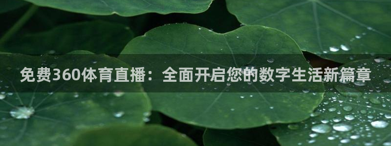 绿茵足球直播间：免费360体育直播：全面开启您的数字生活新篇章