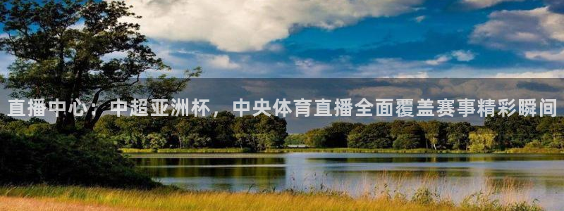 绿茵体育live直播：直播中心：中超亚洲杯，中央体育直播全面覆盖赛事精彩瞬间