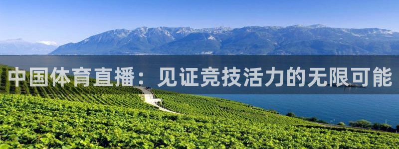 绿茵直播体育下载：中国体育直播：见证竞技活力的无限可能